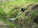 TRidgeOpen2011 040